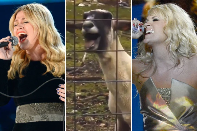 Kelly Clarkson Carrie Underwood Screaming Goat Kelly Clarkson Carrie Underwood Screaming Goat